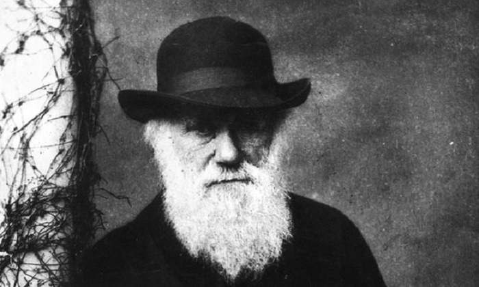 Charles Darwin letter returned to Smithsonian over 30 years after theft
